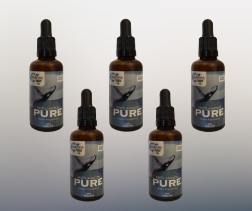 pure marine phytoplankton 50mL