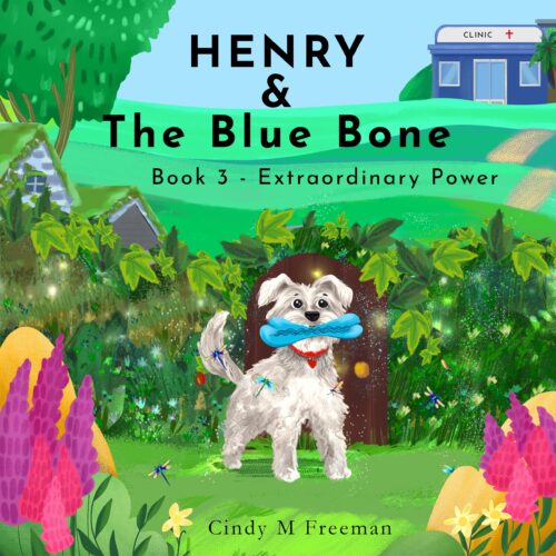 Henry and The Blue Bone: Book 3 - Extraordinary Power